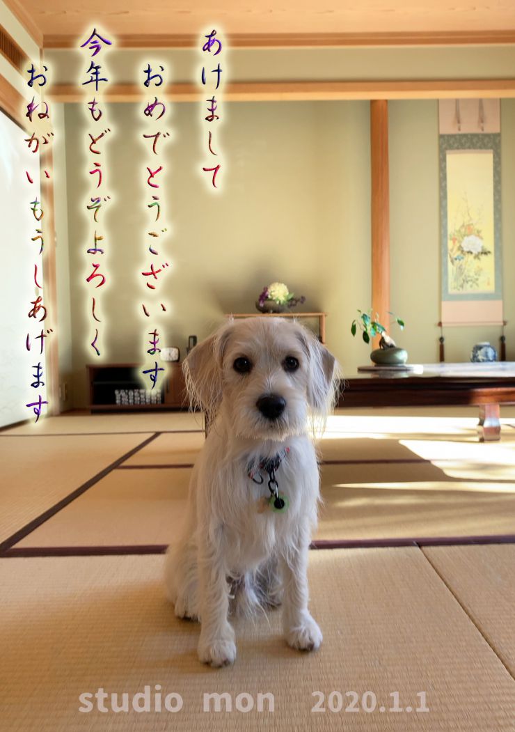 スタジオモン　年賀状